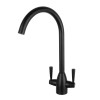 Fornham Kitchen Mixer Tap Black