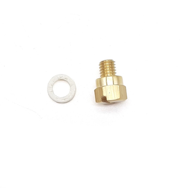 Small Drain Screw & Washer (FW0251)