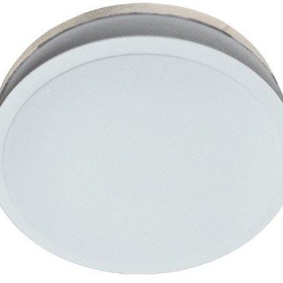 BATHROOM CEILING LIGHT OPAL 290MM
