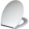 Eco X Soft Close Toilet Seat